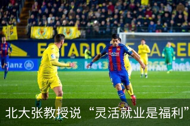 北大张教授说“灵活就业是福利”，可河南那十几万人为何还要考“三支一扶”呢？